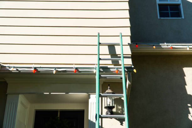 Best Dumpster Rental Services  in Virginia, IL